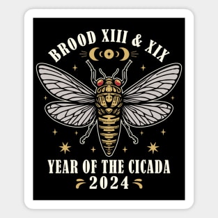 Cicada Double Emergence Year Of The Cicada 2024 Magnet